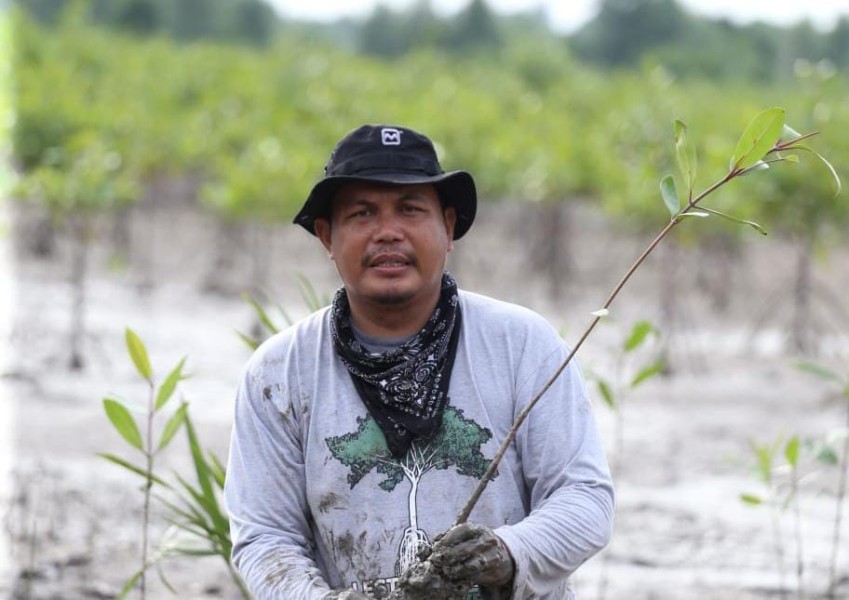 Zainal Si Rajalesa Penjaga Hutan Mangrove Pesisir Inhil