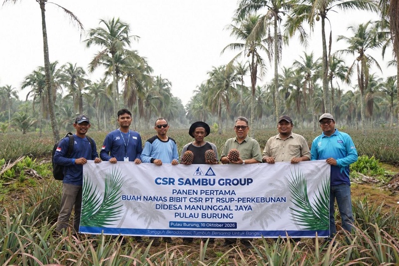 Dukungan Bibit PT RSUP Divisi Perkebunan Panen Perdana 24 Ribu Nanas di Desa Manunggal Jaya