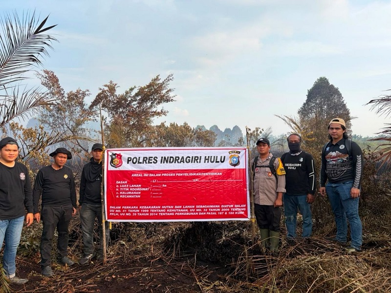Kecerobohan Bawa Bencana, Puntung Rokok Pelangsir Sawit Hanguskan 5 Hektare Lahan di Inhu