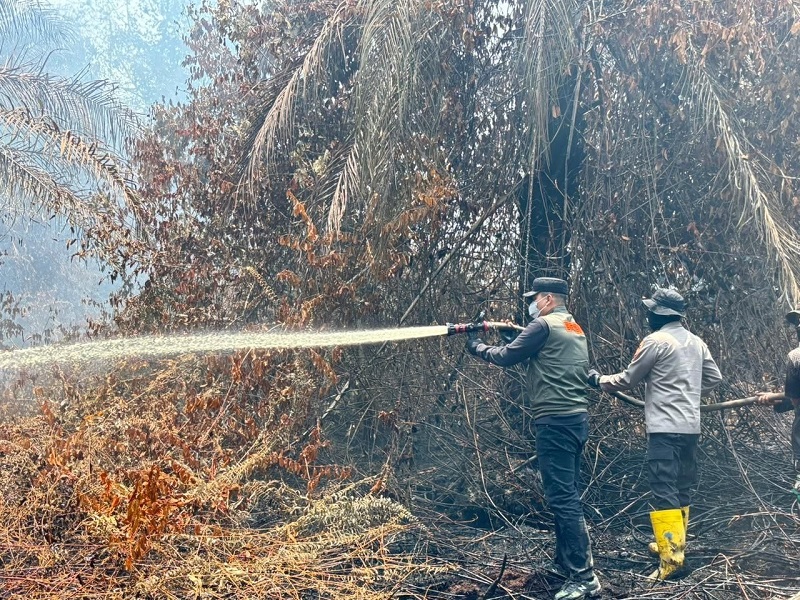 Kepungan Api Lahan Sitaan Satgas PKH Dikekola KSO Agrinas di Inhu, Pemadaman Rumit, Pejabat Cuma Bisa Berharap Hujan