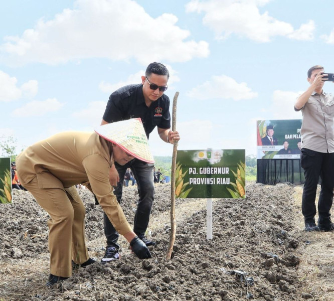 Riau Berhasil Tingkatkan Produksi Padi, Pj Gubernur: Sinergi Adalah Kunci