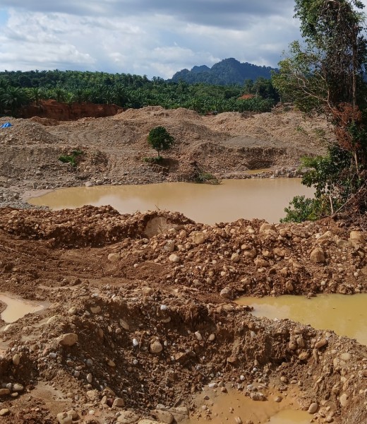 Dinilai Gagal Tindak Tambang Ilegal, Putra Pasaman Barat Desak Kapolres Mundur