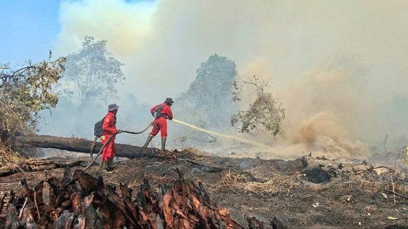 Asap Karhutla Meracuni Udara Riau, Pelalawan Mencekik, Pekanbaru Sangat Tidak Sehat Di Tengah Rusaknya Alat Pemantau