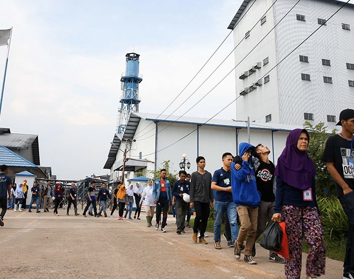 Bahan Baku Langka, Perusahaan Pengolahan Kelapa Terpaksa PHK Karyawan