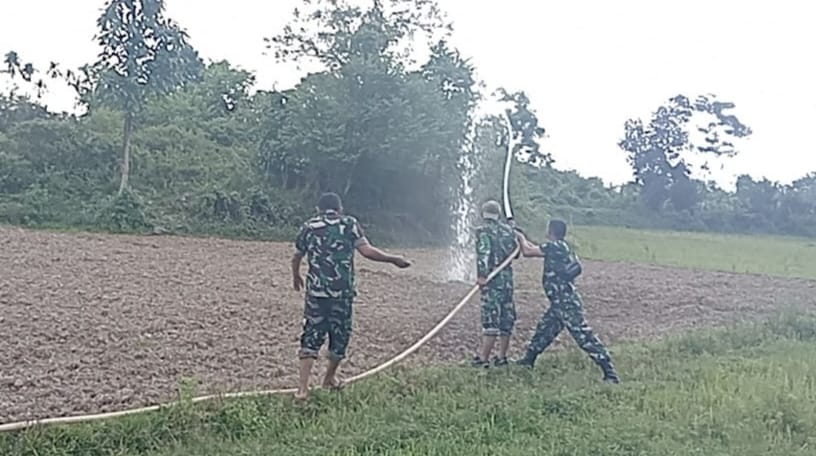 Tak Sekadar Menanam, Satgas TMMD ke-129 Kodim 0102/Pidie Rawat Harapan Petani di Tengah Teriknya Cuaca