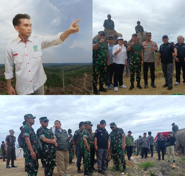 Biang Kerusakan Hutan Konservas. KAMMI Desak Satgas PKH Tindak Tegas PT.PSJ Tadah TBS Ilegal Dari TNTN