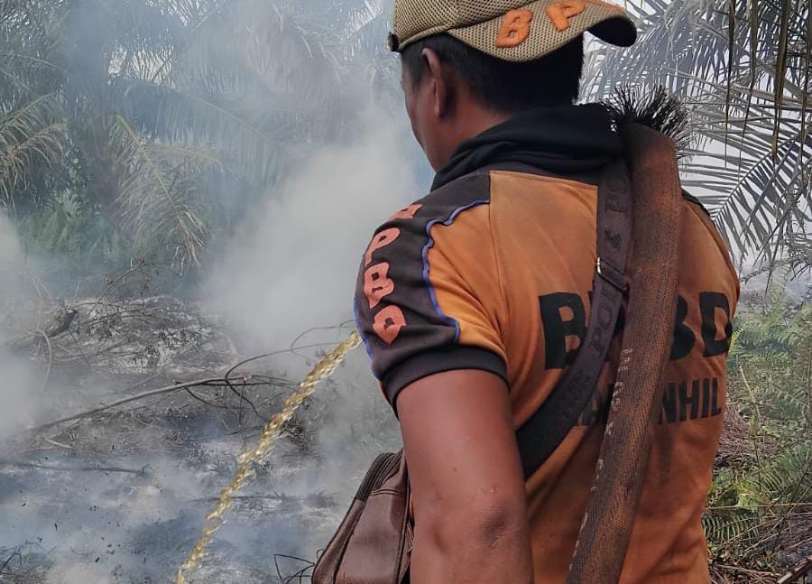 Inhil Butuh Bantuan Provinsi Kirim Bom Air Atasi Karhutla, Karhutla Capai 141,9 Hektar