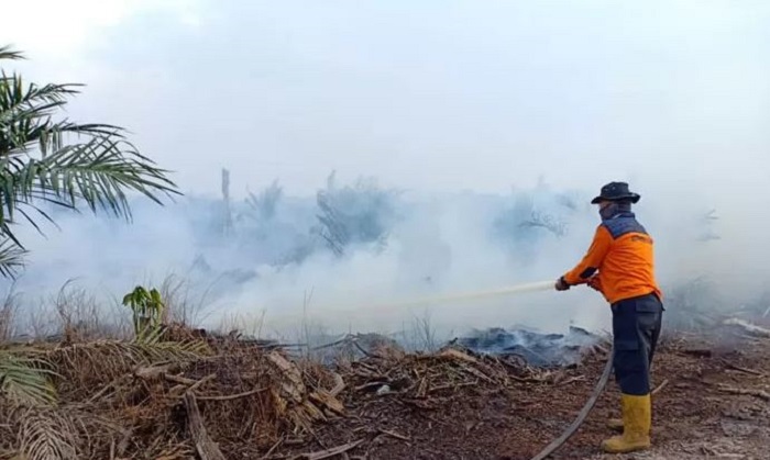 Lebaran di Balik Asap, Karhutla Pelalawan Mengganas, Harapan Modifikasi Cuaca Masih Digantung BNPB