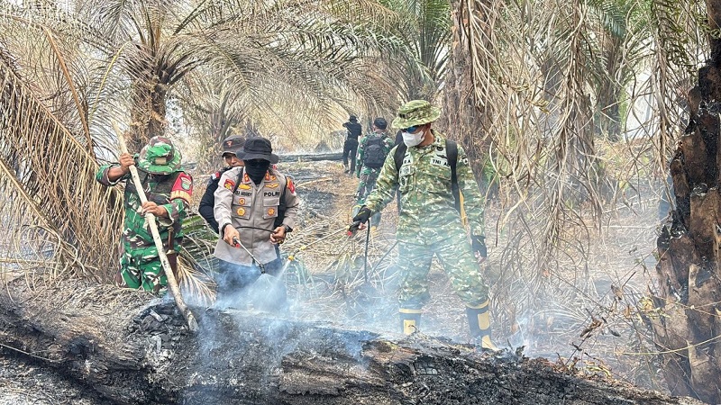Pemadaman Karhutla Lahan Sawit Anak Talang, Terkendala Akses dan Sinyal, Baru 2 Hektar Berhasil Dipadamkan