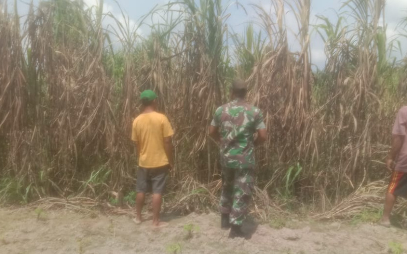 Koramil 03 Patroli, Sosialisasikan Terkait Ancaman Karhutla