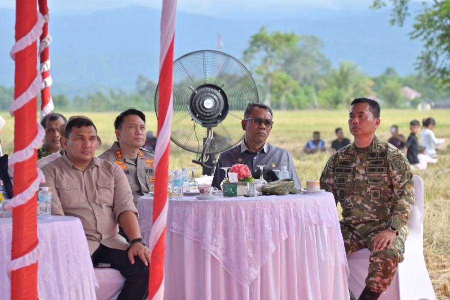 Dandim 0102/Pidie Dampingi Pangdam IM Ikuti Vicon Panen Raya Padi Serentak Program Hanpangan TNI