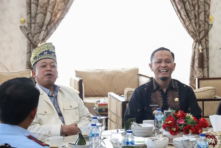 Jutaan Hektar Lahan Perusahaan Sawit Ilegal di Riau tidak Ada Pemutihan
