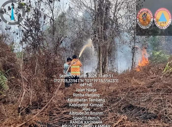 Kampar Membara: 4,34 Hektare Lahan Gambut Rimbo Panjang Dilalap Api, Kualitas Udara Mulai Terancam
