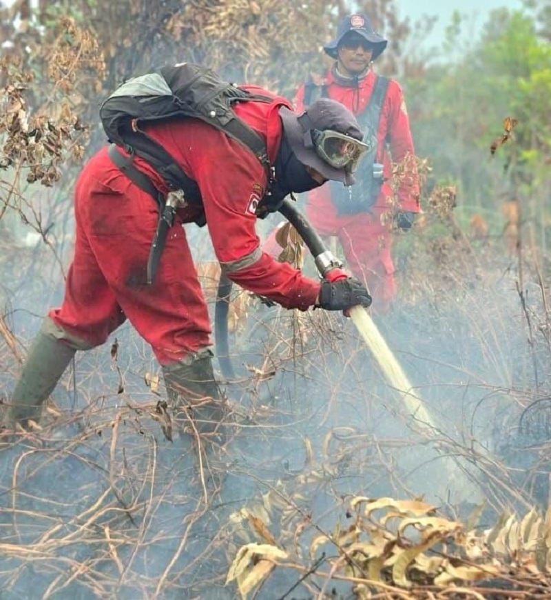 16 Hari Karhutla Indragiri Hulu: Lahan Gambut 434 Hektar Terbakar, Baru 45 Hektar Berhasil Dipadamkan