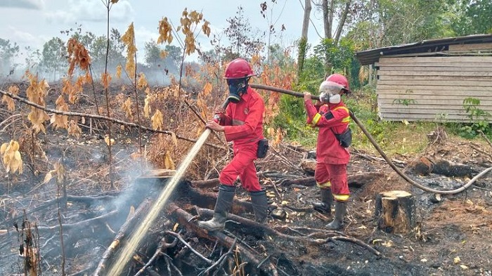 Riau Terkepung Api 2026, Siaga Darurat Cuma Ritual, Korporasi Tetap Kebal?