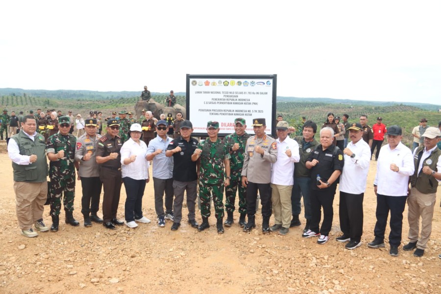 Dua Tersangka Cukong Perambah TNTN Belum Ditahan Polda Riau