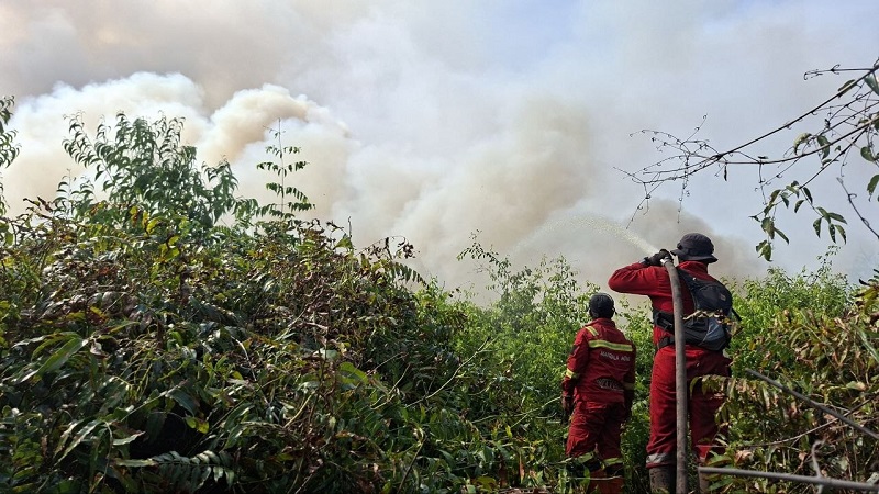 Imbas Asap Beracun Karhutla, 549 Warga Pelalawan Tumbang Terjangkit ISPA, Pangkalan Kuras I Terbanyak