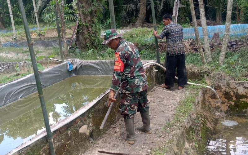 Karya Nyata, Babinsa Mekarsari Dampingi Warga Budidaya Ikan Patin