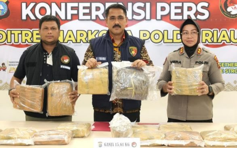 Polda Riau Gagalkan Peredaran 16,5 Kg Ganja, 3 Tersangka Diamankan