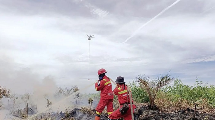 Karhutla Riau Meluas: Kewalahan Diadang Angin Berputar, Pasukan Tambahan Diterjunkan ke Rohil!