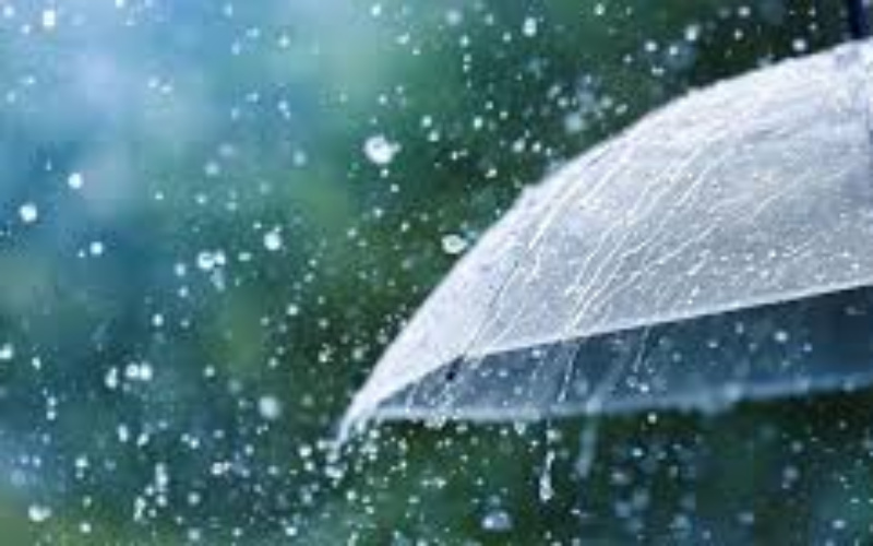 BMKG Riau: Waspadai Hujan Lebat dan Angin Kencang di Beberapa Daerah