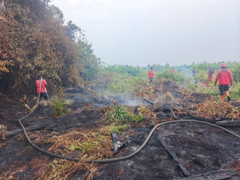 Karhutla 2 Hektare di Mengkapan Siak Dipadamkan, Manggala Agni Lakukan Pemantauan