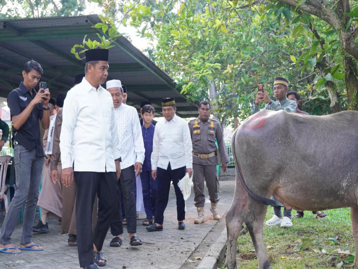 Pastikan Kualitas Daging Higienis dan Merata hingga Pelosok, Bupati Kampar Ahmad Yuzar Turun Langsung Tinjau Posko Kurban