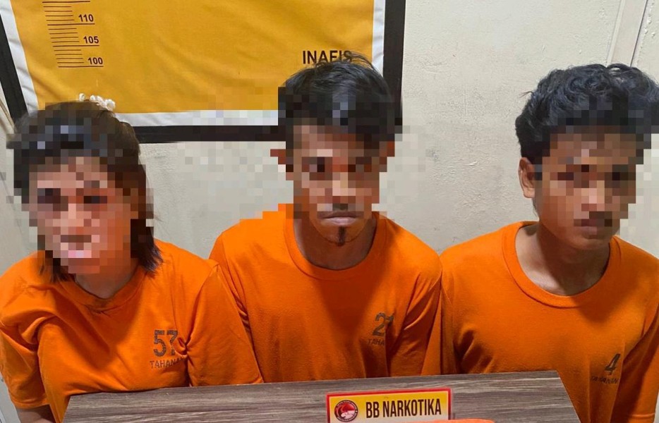 Jual Sabu, Seorang IRT di Inhil Tangkap Polisi