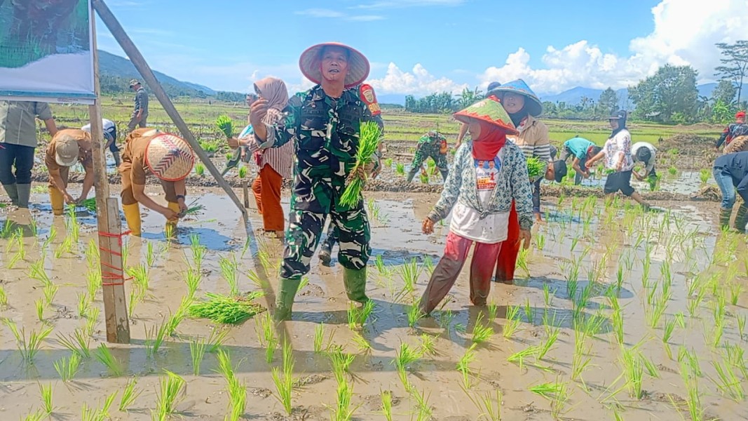 Dukung Ketahanan Pangan, Kodim 0417/Kerinci Gelar Penanaman Padi Serentak di Dua Lokasi