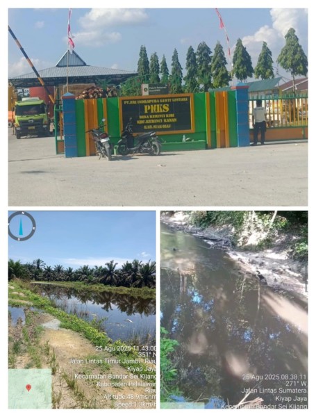 Dari Pabrik PT SISL, Limbah Mengalir dan Cemari Sungai Kiyap Jaya