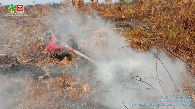Kualitas Udara Pekanbaru Tembus PM 2,5 di Atas 150, PDPI: Waspada Bahaya Kabut Asap Karhutla!