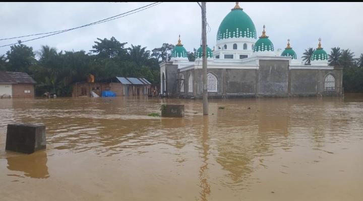 Empat Kabupaten di Riau Terendam Banjir