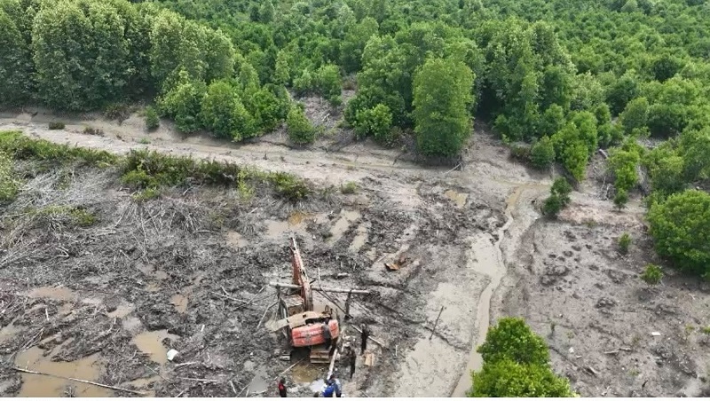 111 Hektar Mangrove Dumai Rata Dibabat Alat Berat, Polda Riau Tetapkan Satu Tersangka
