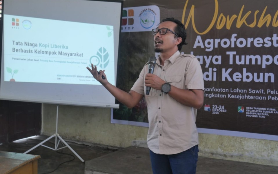 Dari Sawit Tumbuh Kopi, Petani Sungai Apit Menanam Harapan Baru Lewat Agroforestry