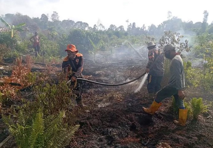 Inhil Terkepung Api: 8 Hektare Lahan Hangus, Tim Gabungan Terbentur Krisis Air dan Medan Berat