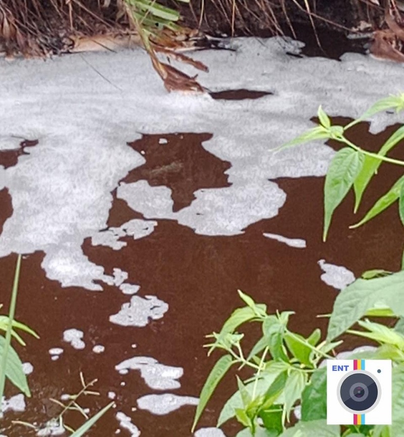 DPRD Riau Endus Skandal Limbah PT MMJ di Pulau Rupat: Jangan Bunuh Ekosistem Laut!