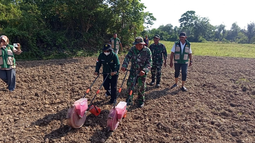 Gandeng PPL, Satgas TMMD Ke-129 Kodim 0102/Pidie Edukasi Warga Tanam Jagung di Lahan Ketahanan Pangan