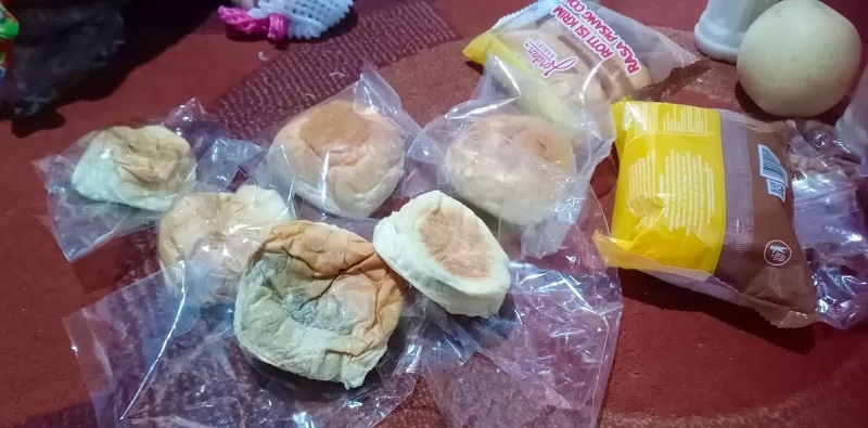 Petaka Program MBG di Pelalawan: Roti Berjamur Masuk Sekolah, Siapa Bertanggung Jawab?