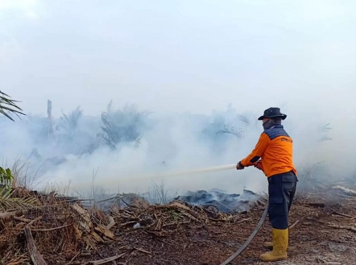 Riau di Ambang Kiamat Asap: 1.375 Hektare Lahan Hangus, Api Terbang Terjang Pelalawan!