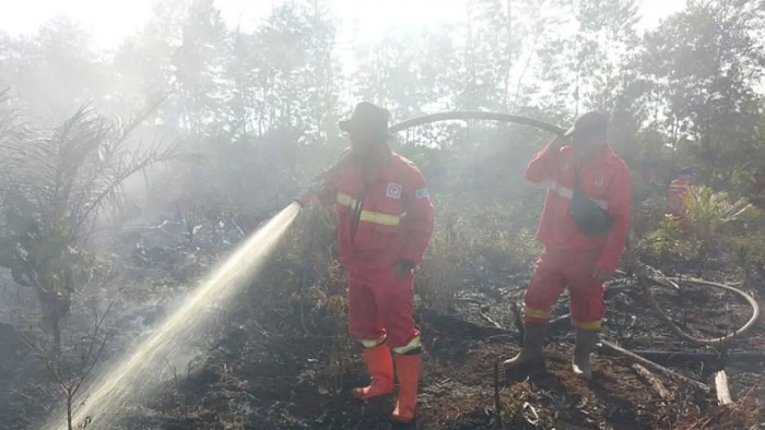 Dipicu Angin Kencang, Karhutla di Rantau Bais Rohil Terus Meluas Tak Terkendali