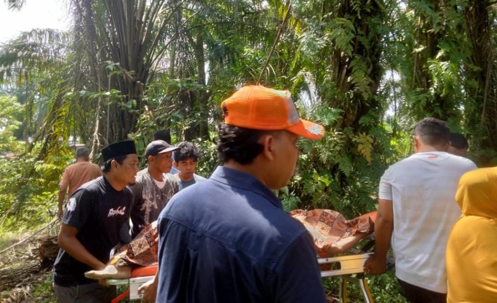 Warga Ujung Batu Digegerkan Penemuan Mayat Pria di Kebun Sawit