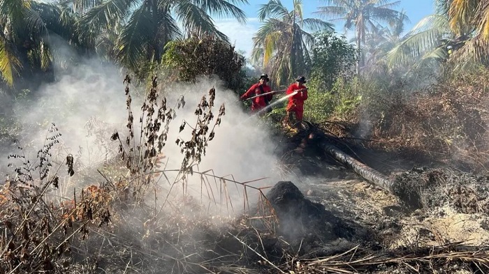 Riau Kembali Dikepung Karhutla, Tiga Kabupaten Membara, Lahan Gambut Sulit Padam