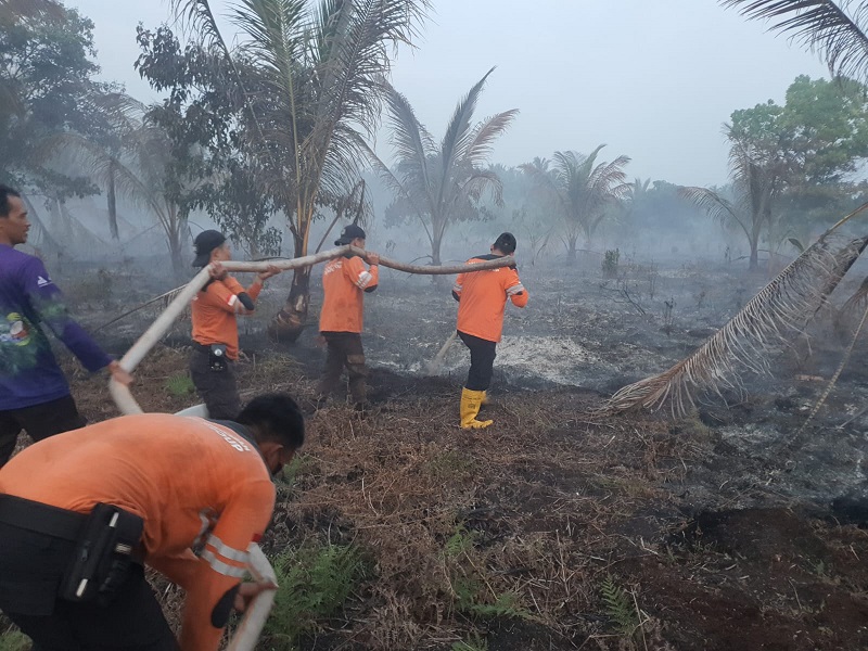 PT RSUP Industri Bersama Tim Gabungan Cepat Tanggap Padamkan Kebakaran Lahan Masyarakat di Desa Pulau Dusun Sinar Baru
