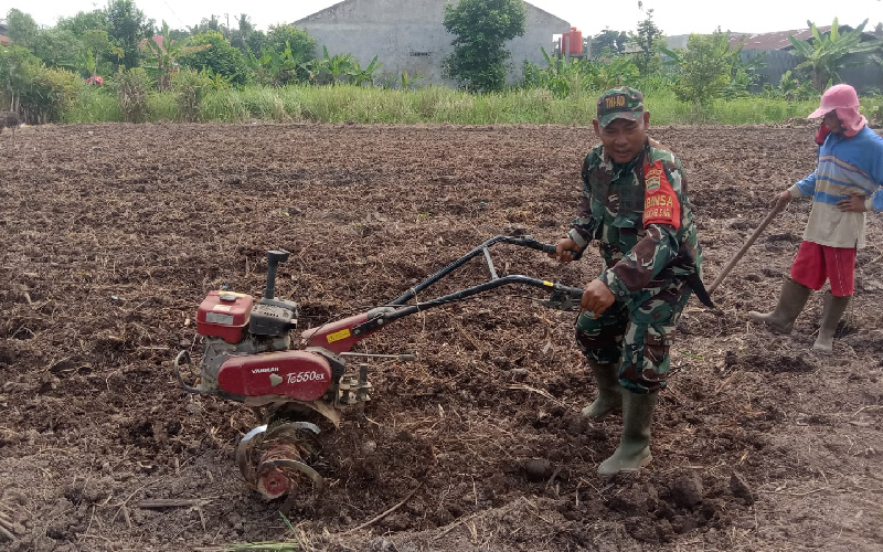 Budidaya Tanaman Cabai, Babinsa Mekarsari Bantu Warga Siapkan Lahan