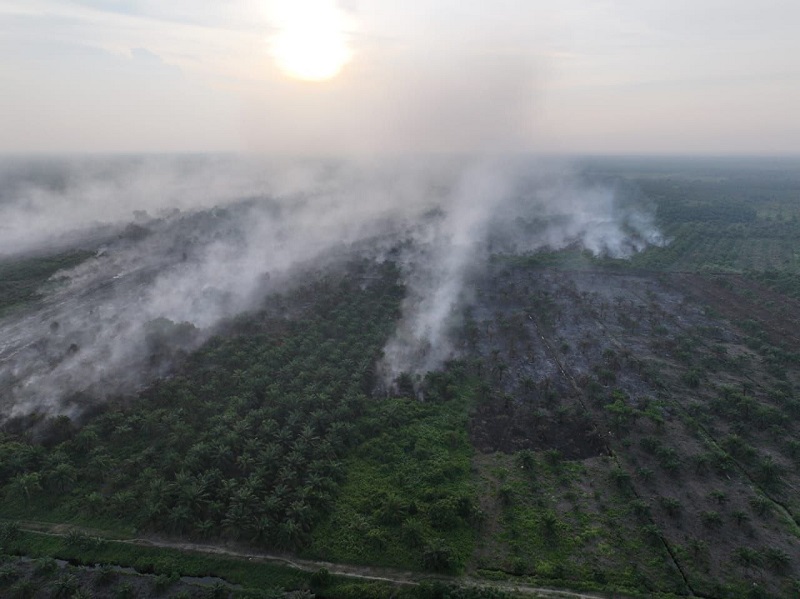 Riau Dikepung Udara Kabur dan 317 Hotspot, Ancaman Asap Karhutla Memburuk