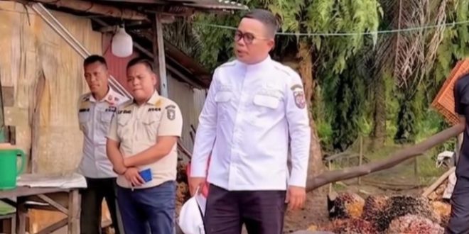Jaga Hak Petani, Pemkab Pelalawan Perketat Rantai Distribusi Sawit
