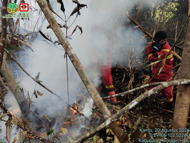 Hari ke-18, Total 434 Ha Gambut Inhu Terbakar, Petugas Jalan Kaki 1,5 Km Pikul Pompa