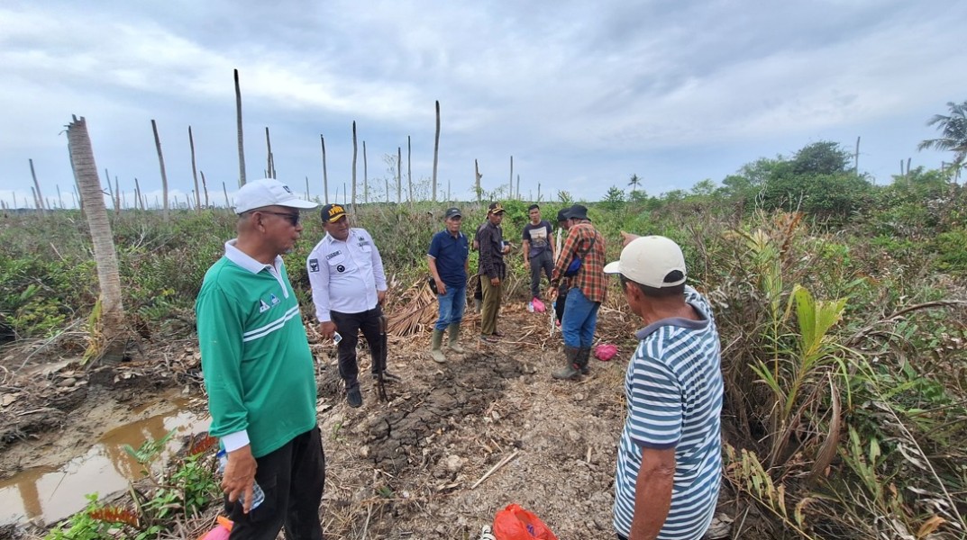 Bersama YBDA, Sambu Group Bangun Tanggul untuk Lestarikan Kebun Kelapa di Sungai Simbar