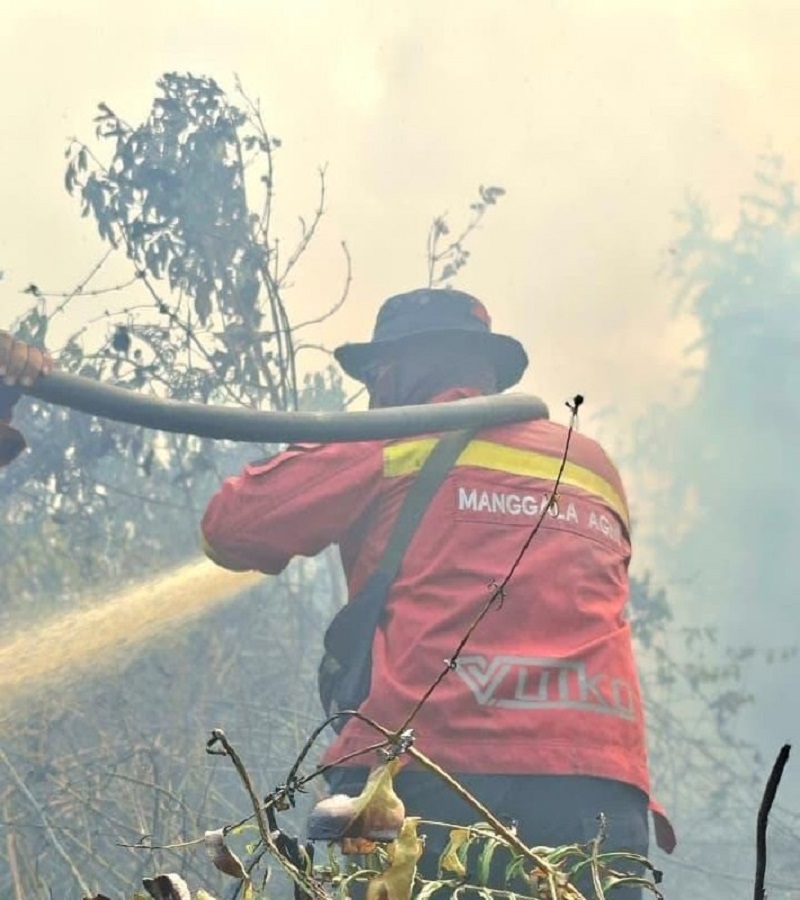 Sumatera Membara Catat Ribuan Hotspot, Riau Tembus 306 Titik Panas, Pekanbaru Mulai Tertutup Kabut Asap Pekat