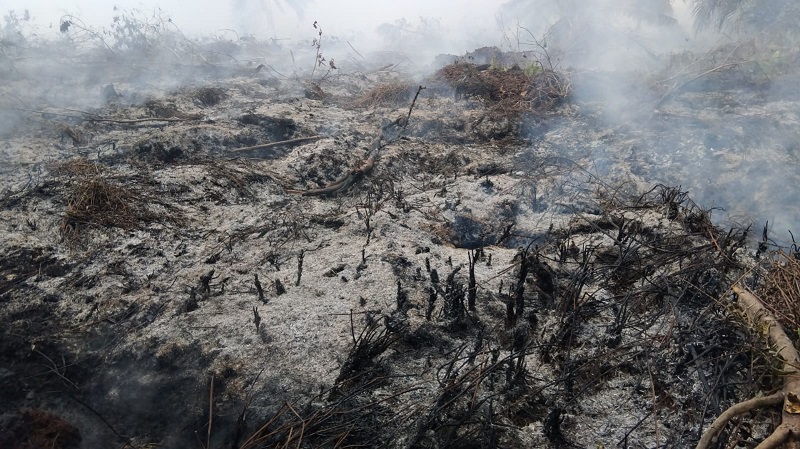 Dominasi 182 Titik Panas di Sumatera, Bengkalis Wilayah Mengerikan!